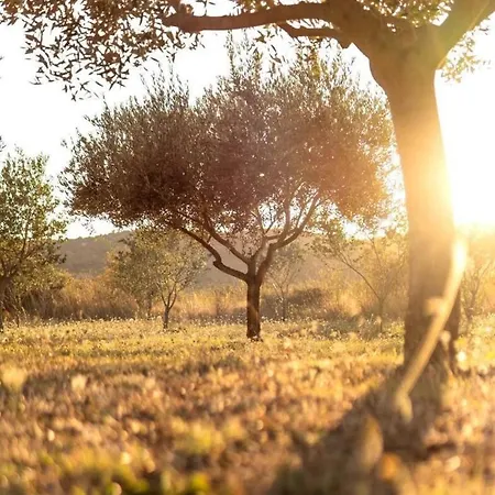 Holiday home Robinson House Orkula In The Heart Of Olive'S Yard *