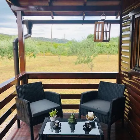 Robinson House Orkula In The Heart Of Olive'S Yard Holiday home