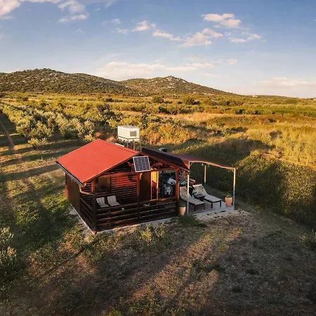 Robinson House Orkula In The Heart Of Olive'S Yard Holiday home Puticanje